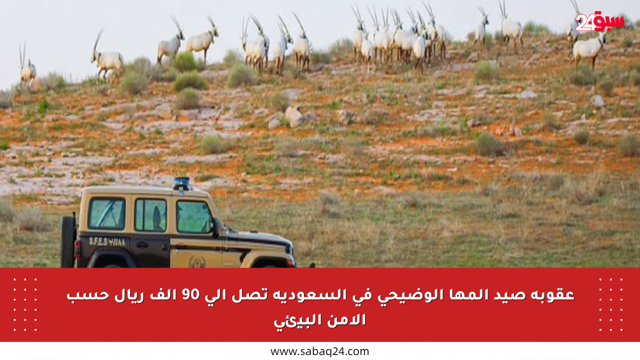 عقوبة صيد المها الوضيحي في السعودية تصل إلى 90 ألف ريال حسب الأمن البيئي